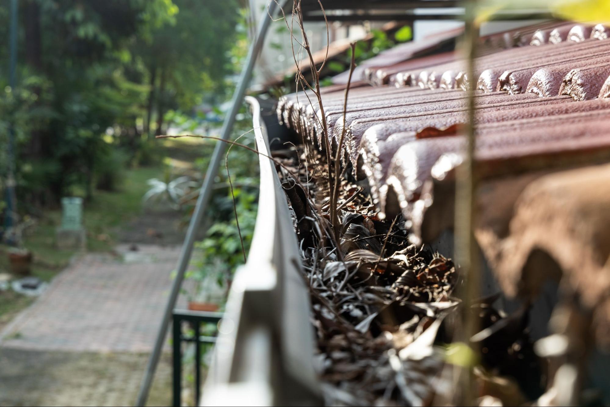 A closeup on a home’s dirty, leafy gutters.
