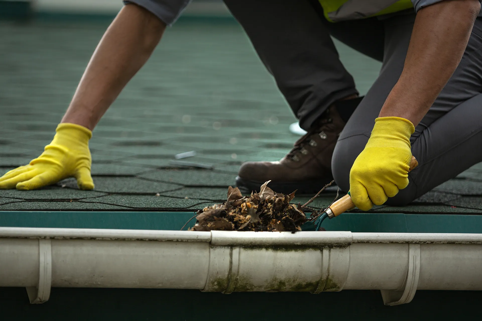 Close-up of a person wearing yellow gloves on a dark green shingle roof, using a small hand tool to scoop a pile of wet leaves and debris out of a white residential gutter.